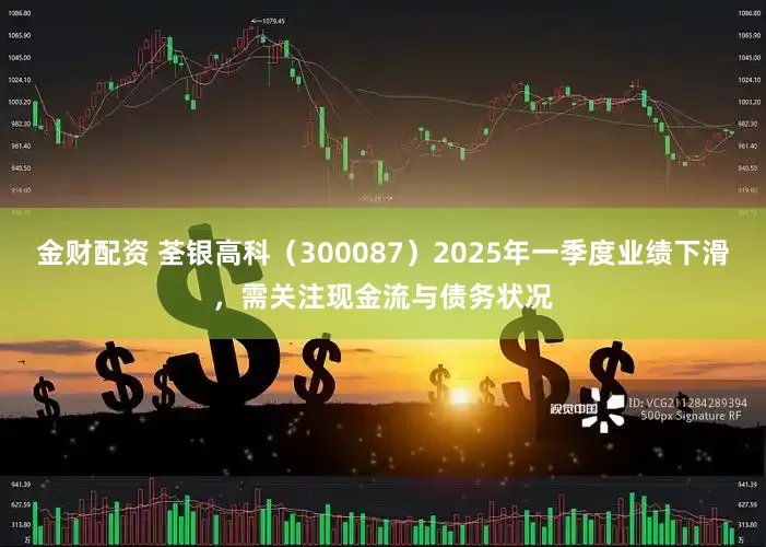金财配资 荃银高科（300087）2025年一季度业绩下滑，需关注现金流与债务状况