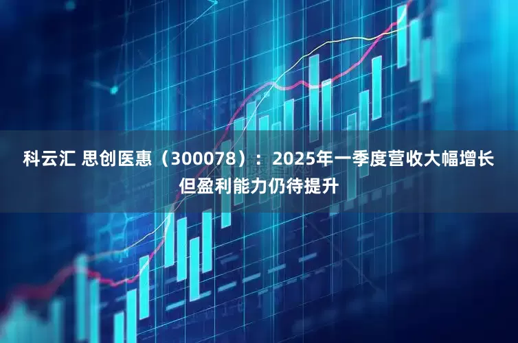 科云汇 思创医惠（300078）：2025年一季度营收大幅增长但盈利能力仍待提升